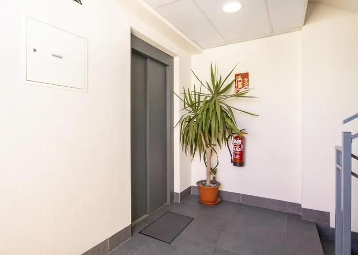 Apartment Avenida Purisima Id132 Torrevieja